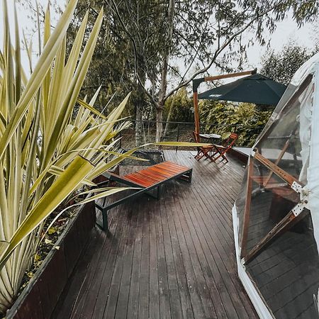 Domus Glamping Guatape Hotel Exterior photo
